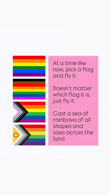 A tall image with a white background. Centrally there are two main components.

On the left is 4 Pride flags stacked vertically, top is the traditional Pride Flag, then the Philly pride flag, then the Progress Pride Flag, and finally the Intersex Inclusive Pride Flag.

On the right is a pink box with text that reads "At a time like now, pick a flag and fly it. Doesn't matter which flag it is, just fly it. Cast a sea of rainbows of all shapes and sizes across the land."