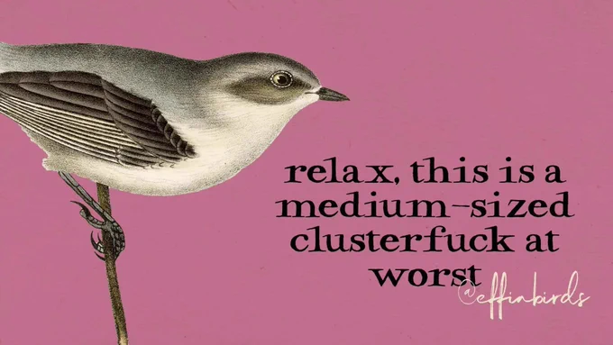A painting of a bird beside the text  "relax, this is a medium-sized clusterfuck at worst"