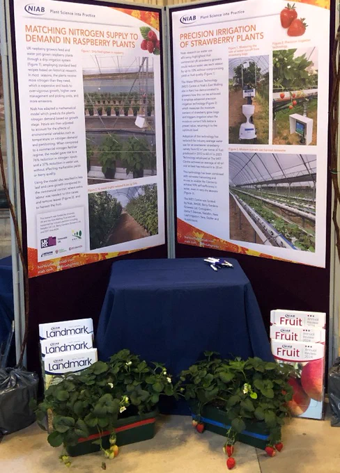 Niab posters and strawberry plants