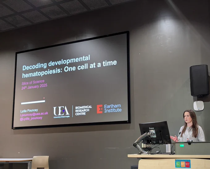 The speaker Lydia Pouncey stands at a lectern presenting in a lecture hall. She gestures with her hands while speaking. Behind her, a large black slide is displayed on a screen. The slide reads: "Decoding developmental hematopoiesis: One cell at a time," with the subtitle "Slice of Science, 24th January 2025." Below the title are her contact details: "Lydia Pouncey, l.pouncey@uea.ac.uk, @Lydia_pouncey." Logos for the University of East Anglia, the Biomedical Research Centre, and the Earlham Institute are visible at the bottom of the slide.