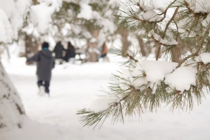 Picnic field under snow in the winter time