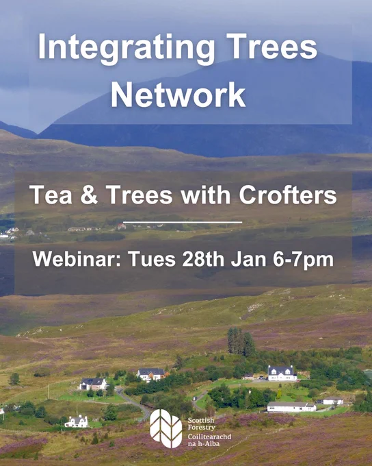 Int Trees Network - Tea & Trees with Crofters Tues 28th Jan 6-7pm