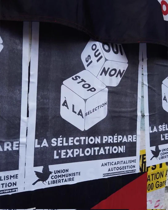 Photo de l'affiche UCL collée sur un panneau. En noir et blanc. Il y a écrit "stop à la sélection, la sélection prépare l'exploitation !"