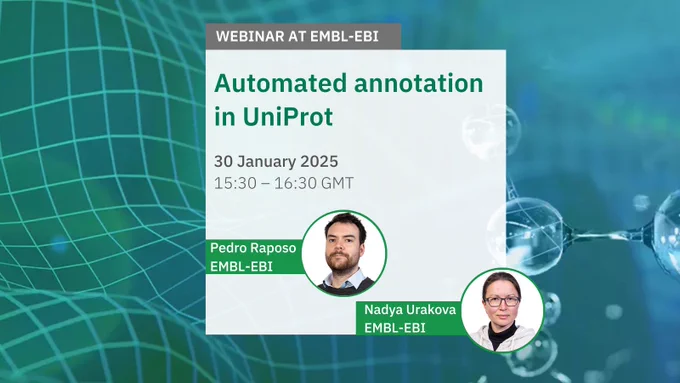 Graphics image showing webinar at EMBL-EBI about Automated annotation in UniProt. The webinar will run on 30 January 2025 at 15:30 GMT. The speakers are Pedro Raposo and Nadya Urakova. Image credit: Louise Walker, EMBL-EBI