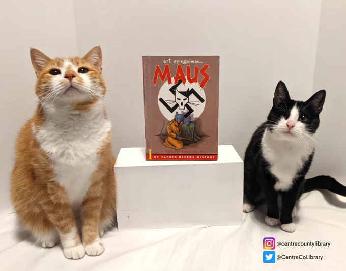 Horatio the orange tabby cat and Jojo the one-eyed tuxedo cat sit with the book, "Maus," by Art Spiegelman.