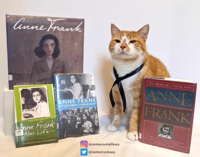 Horatio the orange tabby cat sits with books about Anne Frank and her diary.