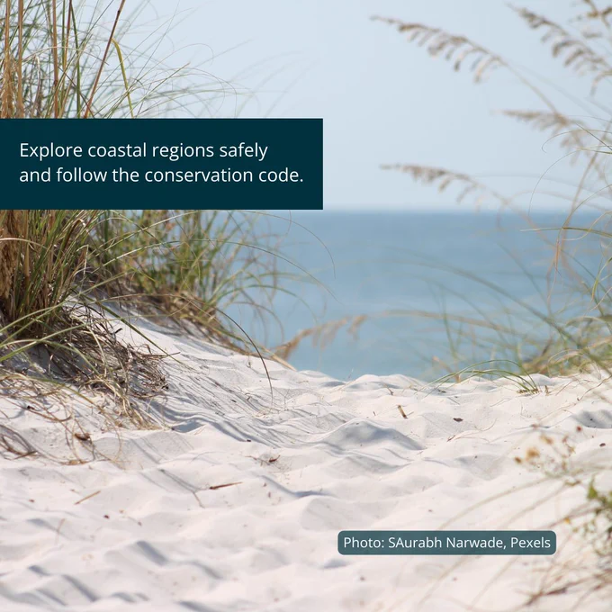 A soft white sandy path through the dunes, with the ocean visible in the distance. Text suggests: "Explore coastal regions safely and follow the conservation code."