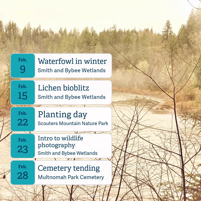 Sandy River in the winter. Text lists nature education and stewardship events in February.