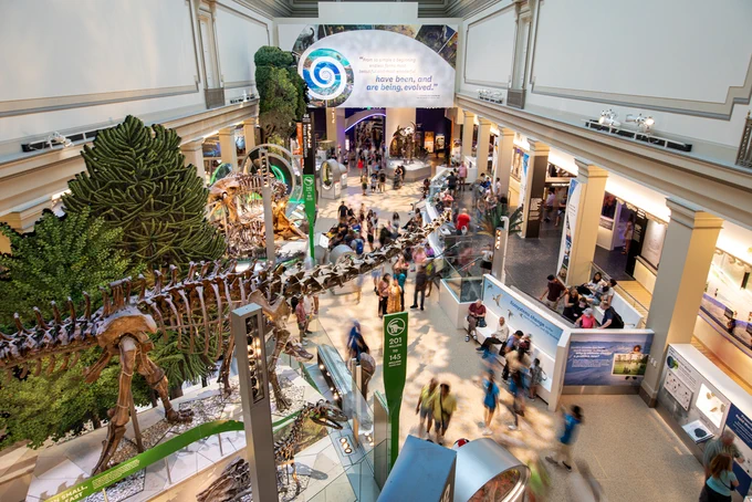 A view of the museum's Fossil Hall.