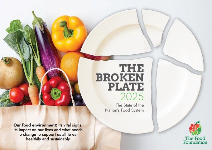 Broken Plate report cover
