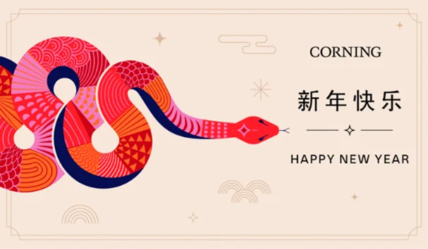 Graphic of a snake with the text, "Happy New Year."