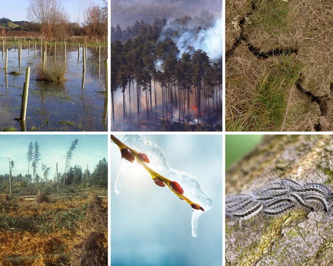 The Climate Change Hub provides information and practical guidance to help protect our UK woodlands and forests from climate change risks and impacts. www.forestresearch.gov.uk/climate-change