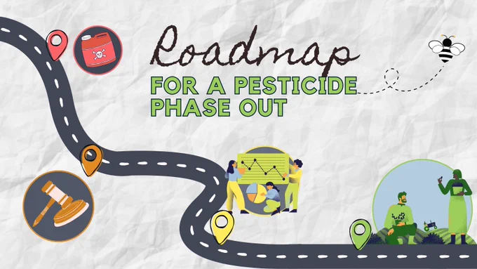 Roadmap for a pesticide phase out | Photo: graphical image of a road with intermediate stops indicated highlighting the steps to take (i.e. from pesticides to phasing out to data declining to a healthy agriculture and food system).