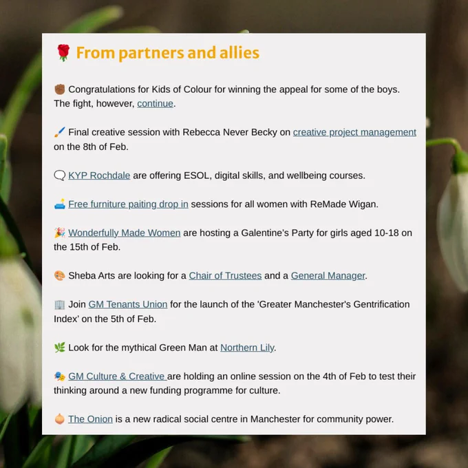 🌹 From partners and allies
✊🏾 Congratulations for Kids of Colour for winning the appeal for some of the boys. The fight, however, continue.



🖌️ Final creative session with Rebecca Never Becky on creative project management on the 8th of Feb.



🗨️ KYP Rochdale are offering ESOL, digital skills, and wellbeing courses.



🛋️ Free furniture paiting drop in sessions for all women with ReMade Wigan.



🎉 Wonderfully Made Women are hosting a Galentine’s Party for girls aged 10-18 on the 15th of Feb.



🎨 Sheba Arts are looking for a Chair of Trustees and a General Manager.



🏢 Join GM Tenants Union for the launch of the 'Greater Manchester's Gentrification Index’ on the 5th of Feb.



🌿 Look for the mythical Green Man at Northern Lily.



🎭 GM Culture & Creative are holding an online session on the 4th of Feb to test their thinking around a new funding programme for culture.



🧅 The Onion is a new radical social centre in Manchester for community power.