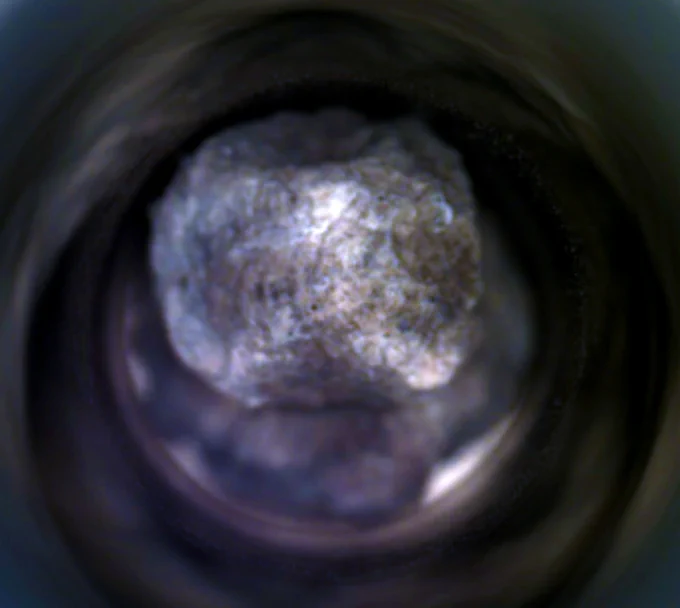 A close-up view of a Martian rock sample captured inside a cylindrical sample tube by the Perseverance rover. The rock appears textured and irregularly shaped, with a light gray and brown coloration. The tube's interior is slightly blurred around the edges, focusing attention on the central rock.