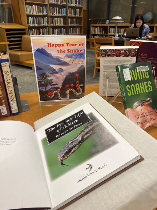 Photo of Mann's late January 2025 display of books on snakes, showing a "Happy Year of the Snake" flyer as part of the display and a book opened to the title page: "The Private Life of Adders."