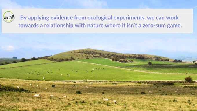 Text overlaid on photo: By applying evidence from ecological experiments, we can work towards a relationship with nature where it isn't a zero-sum game. The photo shows sheep in a field, and there is hill in the background.