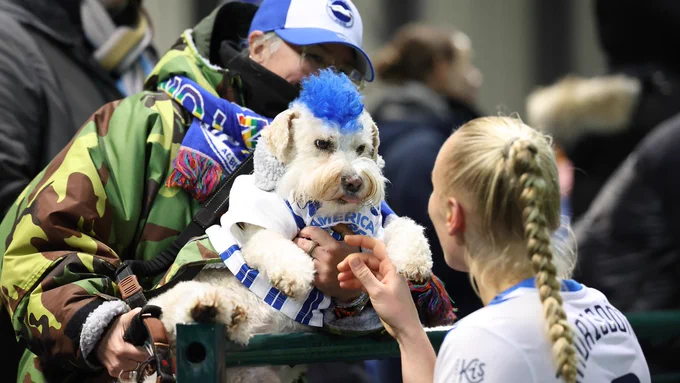 Maria meeting an Albion themed dog at last night's match! Name a better duo, we'll wait...