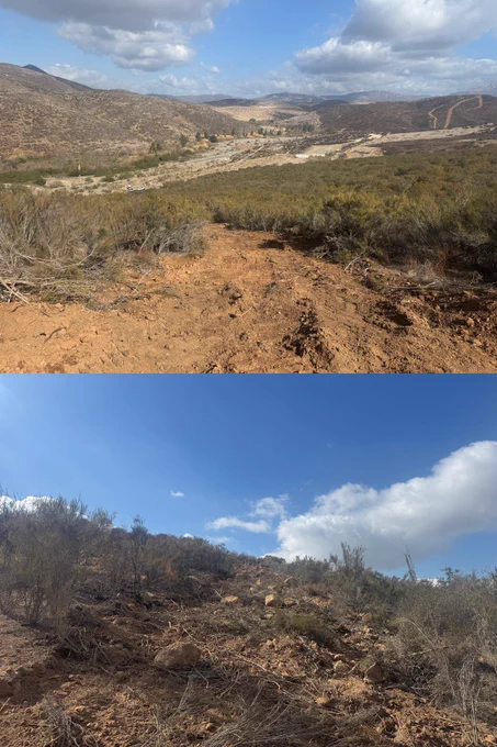 Two photos showing a 'before and after' of a dozer-created fire break and the mitigate work post-fire. 