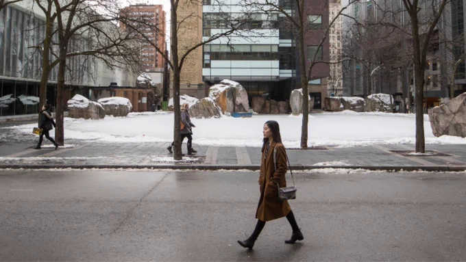 Alt text: A person walks in front of snow-covered Lake Devo on the Toronto Metropolitan University campus with trees in the foreground and snow on the ground.