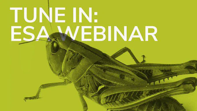 A green rectangle with a semi-transparent black and white grasshopper large in the bottom right corner. Bold white text that reads "TUNE IN: ESA WEBINAR."