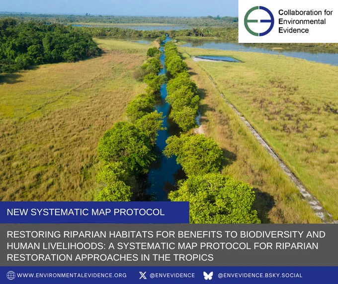 An aerial scene showing a tropical stream surrounded by a riparian zone of trees and grass. The Collaboration of Environmental Evidence logo is shown in the upper right corner, while in the foreground at the bottom of the image are the words "New systematic map protocol" and the title of the paper "Restoring riparian habitats for benefits to biodiversity and human livelihoods: a systematic map protocol for riparian restoration approaches in the tropics". Photo by Ato Aikins on Unsplash