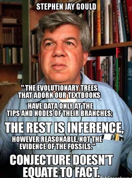 No Evolutionary Tree of Life