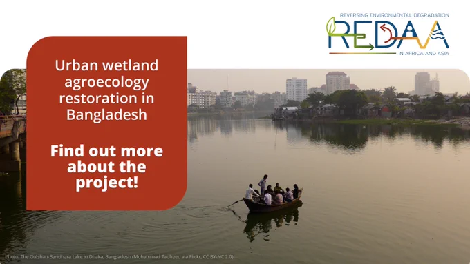 Graphic card of text over an image of people rowing a boat on lake Gulshan-Baridhara in Dhaka. Words read 'Urban wetland agroecology restoration in Bangladesh. Find out more about the project!'.