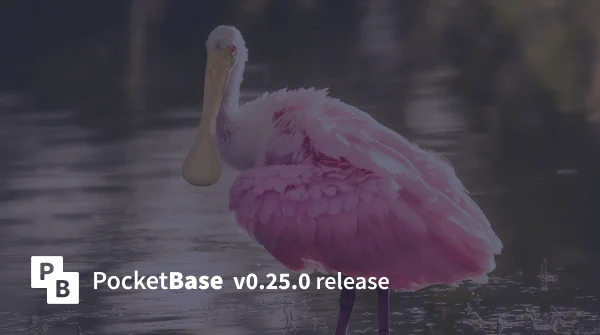 PocketBase v0.25.0 release banner with Spoonbill in the background.
