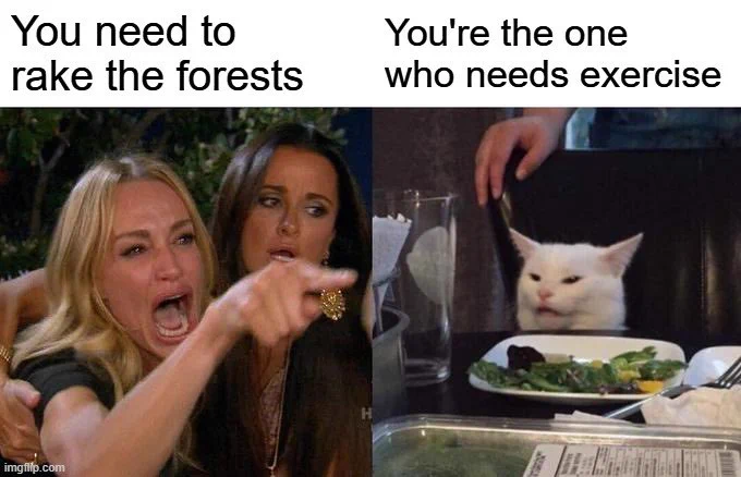 Girls saying you need to rake the forests     Cat says you’re the one who needs exercise