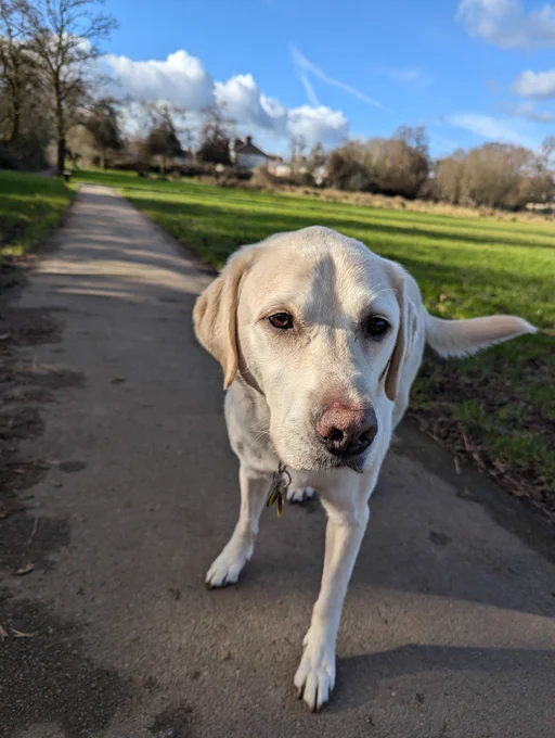  Uri  looking at the camera in the park 