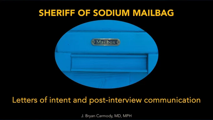 Screenshot for Sheriff of Sodium Mailbag on letters of intent and post-interview communication.