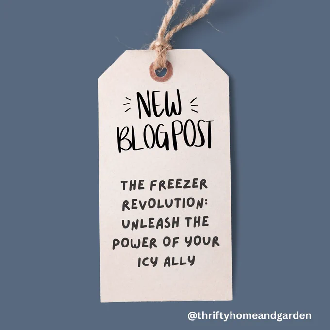 New Blog Post
The Freezer Revolution:  Unleash the Power of your Icy Ally