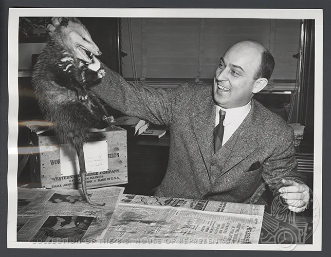 A man holds up a dead possum