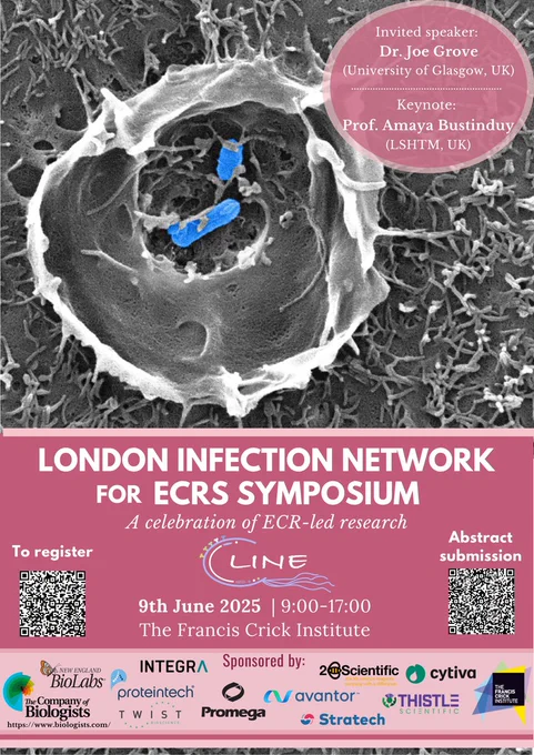 This is  a poster advertising the LINE scientific symposium aimed at early career researchers working in infection. Displayed is an electron microscope image showing two salmonella bacteria attached to a cells causing the cell membrane to ripple. Below the image, the organisational details about the symposium are shown.