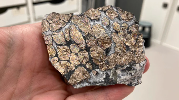 Blobs of a brassy mineral in a white matrix. The brassy mineral has a pink tinge and a metallic lustre. 