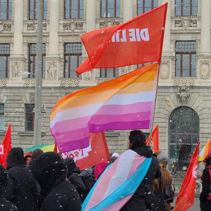 Linke Fahne im Schnee.
