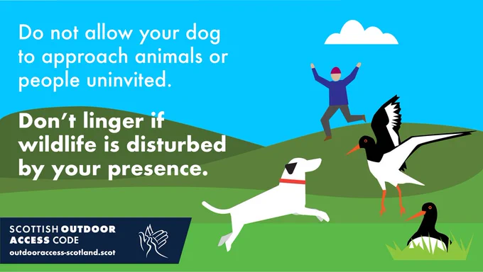 Illustration of a dog disturbing oystercatchers on their nest. Text on image: Do not allow your dog to approach animals or people uninvited. Don't linger if wildlife is disturbed by your presence.