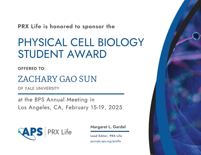 A graphic with blue text on a white background. It reads “PRX Life is honored to sponsor the Physical Cell Biology Student Award offered to Zachary Gao Sun of Yale University, at the BPS Annual Meeting in Los Angeles California, February 15-19, 2025.” At the bottom is the PRX Life logo and text reading “Margaret L. Gardel, lead editor, PRX Life” along with a link to the journal website. On the right side of the image is a swirl of purple, black, and blue with a dark blue curved line through it.