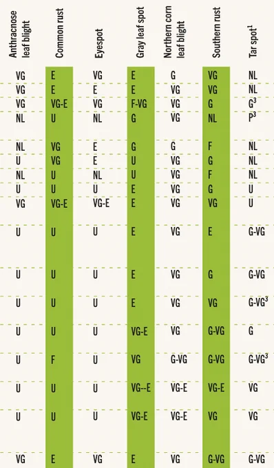 Partial 2025 corn fungicide efficacy table. 