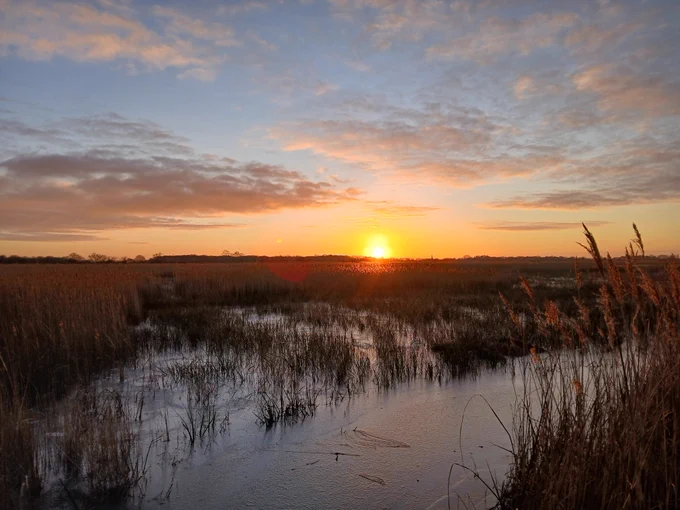 A golden sunset over the reedbed at Hickling. 