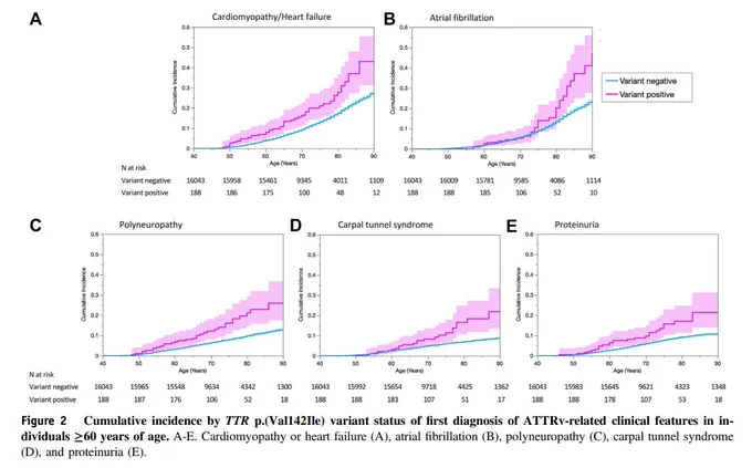 Screenshot of Figure 2: Cumulative incidence byTTRp.(Val142Ile) variant status of first diagnosis of ATTRv-related clinical features in individuals ≥60 years of age. A-E. Cardiomyopathy or heart failure (A), atrial fibrillation (B), polyneuropathy (C), carpal tunnel syndrome (D), and proteinuria (E).