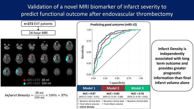 Graphic abstract in Favilla and Regenhardt et al.