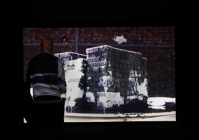 A photograph of a person viewing a large projected image.