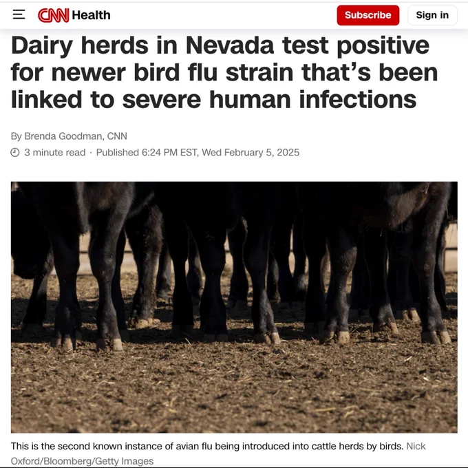Dairy herds in Nevada test positive
for newer bird flu strain that's been
linked to severe human infections
By Brenda Goodman, CNN
3 minute read . Published 6:24 PM EST, Wed February 5, 2025