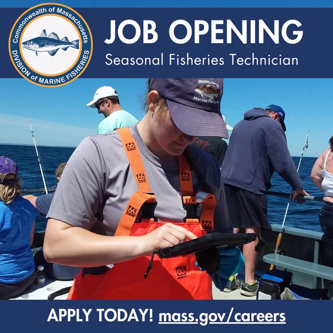 A recreational seasonal technician collecting data on a fishing vessel.