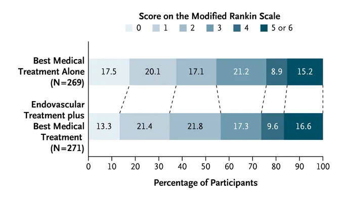 Modified Rankin scale scores at 90 days.