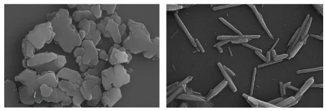 The image is of 2 SEM images of kaolin. Kaolin plates on the left and kaolin tubes/laths on the right.