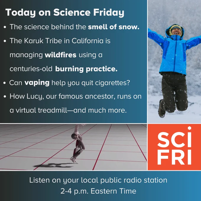 Today on Science Friday 
The science behind the smell of snow.
The Karuk Tribe in California is managing wildfires using a centuries-old burning practice.
Can vaping help you quit cigarettes? 
How Lucy, our famous ancestor, runs on a virtual treadmill—and much more
Listen on your local public radio station 2-4 p.m. Eastern Time
