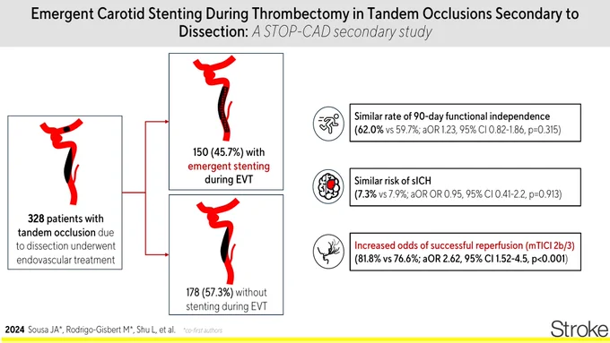 Graphic abstract in Sousa and Rodrigo-Gisbert et al.